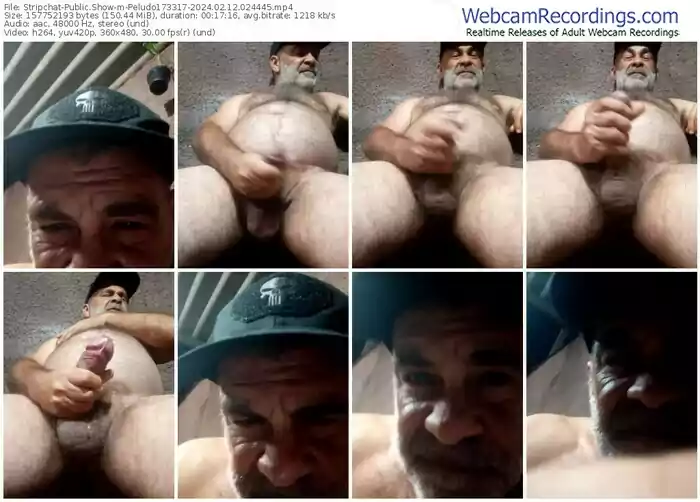 stripchat-peludo173317-02-12-2024-02-44-45