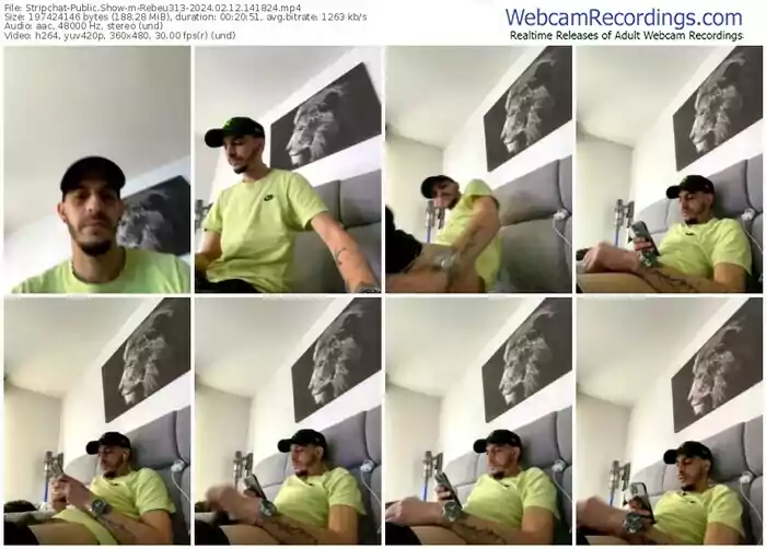 stripchat-rebeu313-02-12-2024-14-18-24