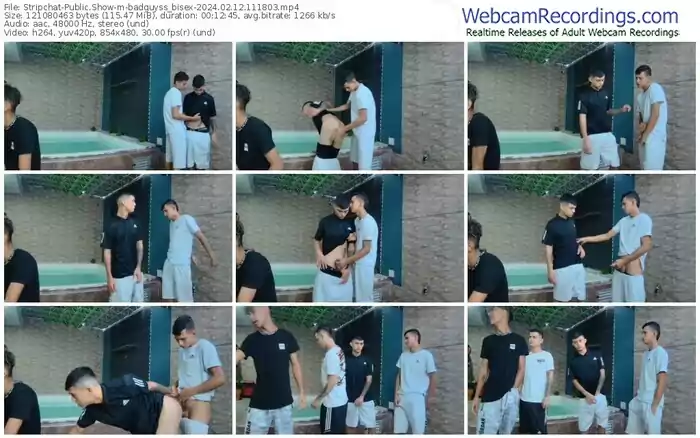 stripchat-badguyss_bisex-02-12-2024-11-18-03