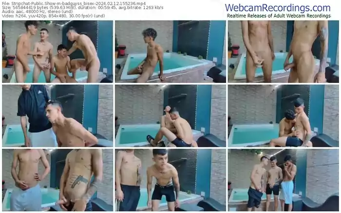 stripchat-badguyss_bisex-02-12-2024-15-52-36