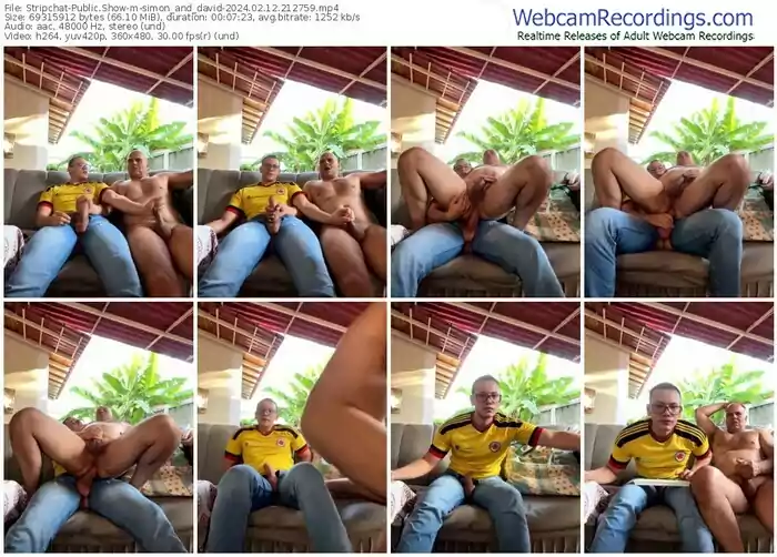 stripchat-simon_and_david-02-12-2024-21-27-59