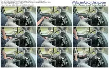 stripchat-cruising_land-02-13-2024-16-21-12