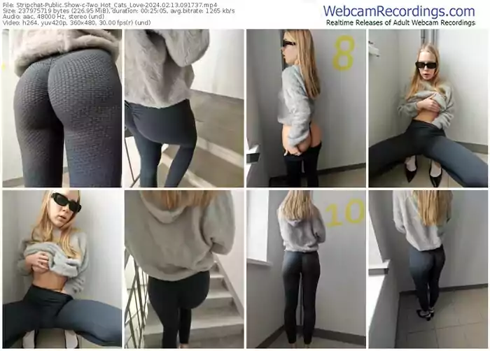 stripchat-two_hot_cats_love-02-13-2024-09-17-37