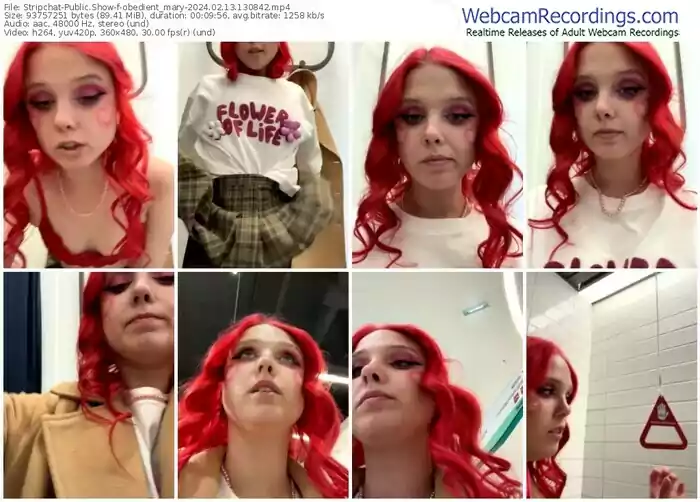 stripchat-obedient_mary-02-13-2024-13-08-42