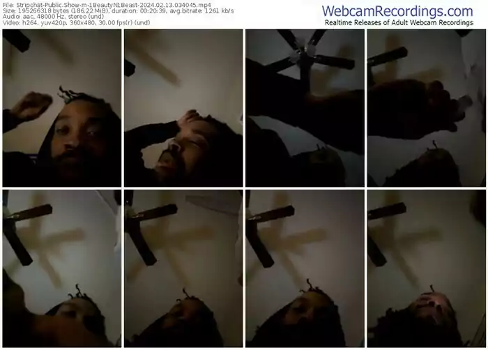 stripchat-1beautyn1beast-02-13-2024-03-40-45