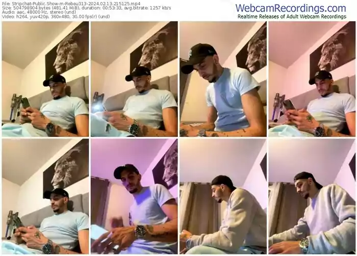 stripchat-rebeu313-02-13-2024-21-51-25