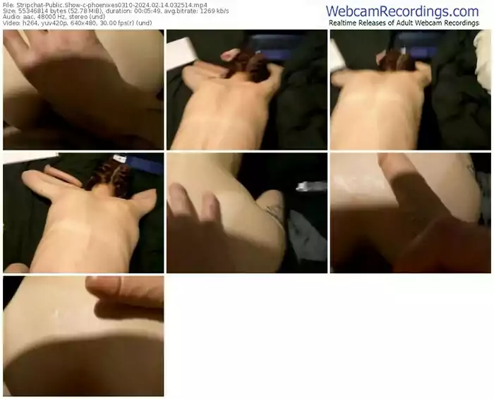 stripchat-phoenixes0310-02-14-2024-03-25-14