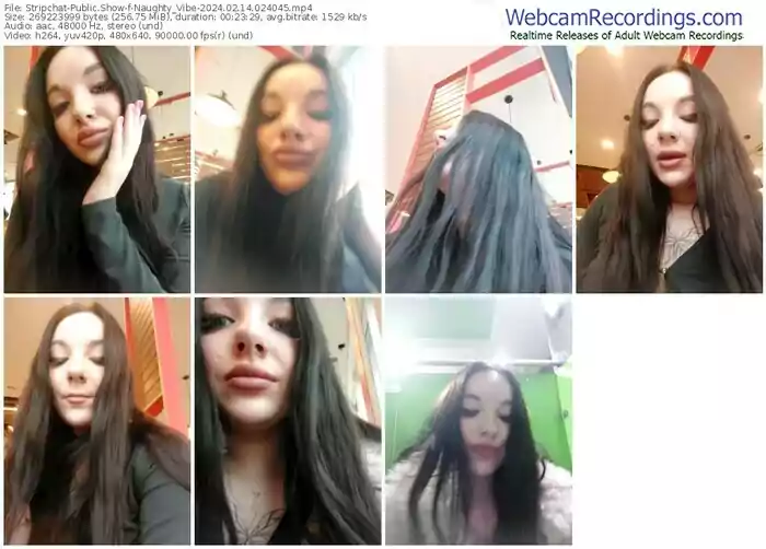 stripchat-naughty_vibe-02-14-2024-02-40-45