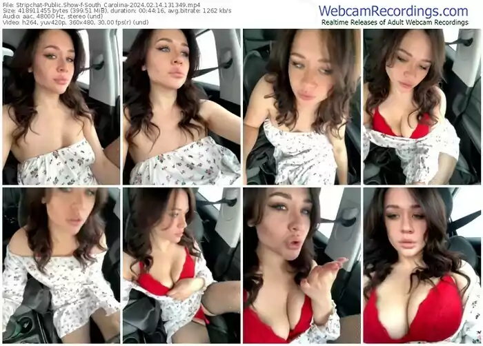 stripchat-south_carolina-02-14-2024-13-13-49