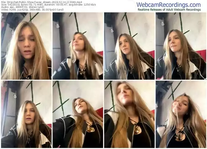 stripchat-wow_dream-02-14-2024-11-30-46