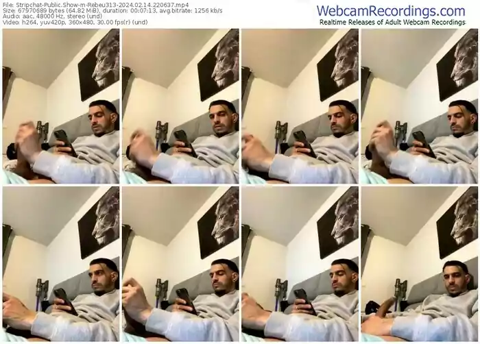 stripchat-rebeu313-02-14-2024-22-06-37