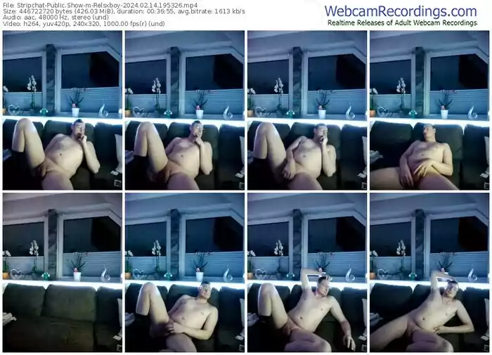 stripchat-relsxboy-02-14-2024-19-53-26
