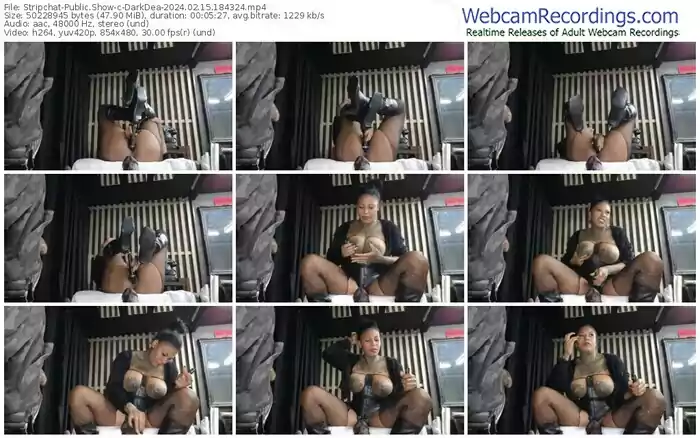 stripchat-darkdea-02-15-2024-18-43-24