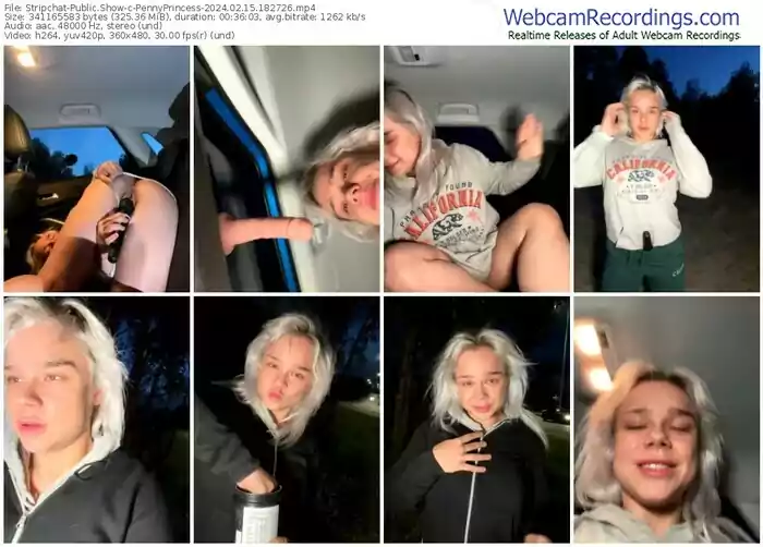 stripchat-pennyprincess-02-15-2024-18-27-26