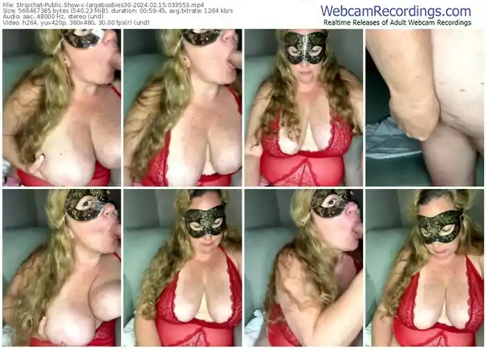 stripchat-largeboobies30-02-15-2024-03-35-53