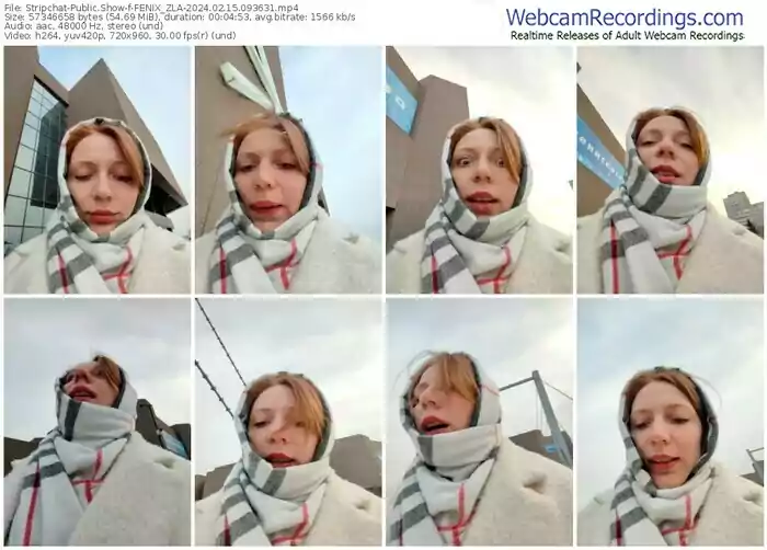 stripchat-fenix_zla-02-15-2024-09-36-31