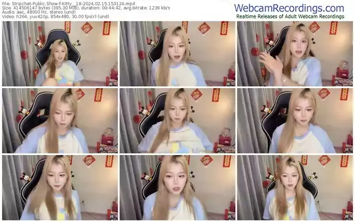 stripchat-kitty__18-02-15-2024-15-31-24