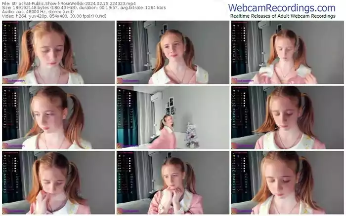 stripchat-rosewellsk-02-15-2024-22-43-23