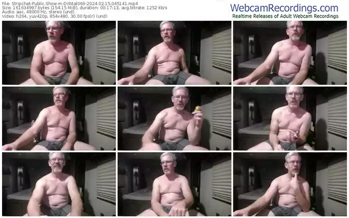 stripchat-di9ital069-02-15-2024-04-51-41