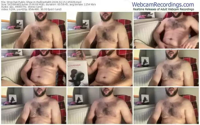 stripchat-reddante89-02-15-2024-14-53-29