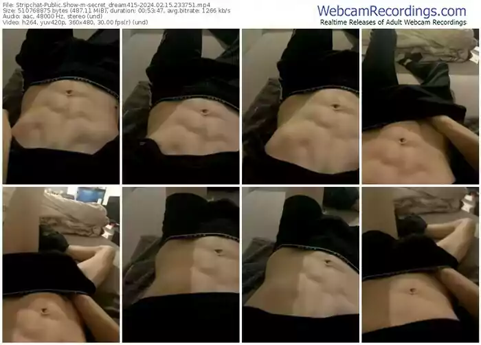 stripchat-secret_dream415-02-15-2024-23-37-51