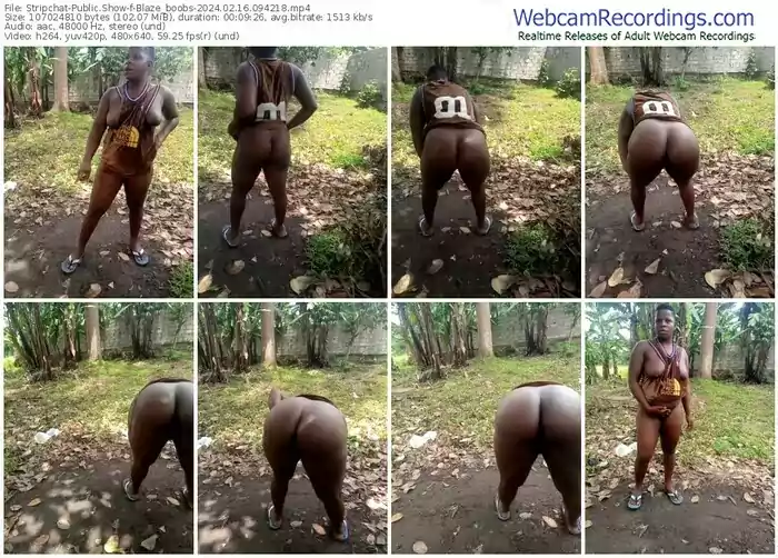 stripchat-blaze_boobs-02-16-2024-09-42-18