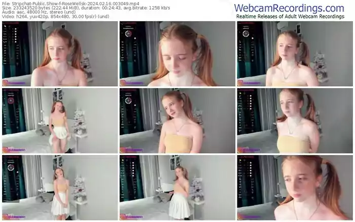 stripchat-rosewellsk-02-16-2024-00-30-49