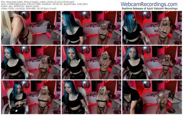 stripchat-sophy_valery-02-16-2024-11-20-29