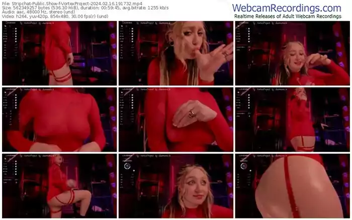 stripchat-vortexproject-02-16-2024-19-17-32