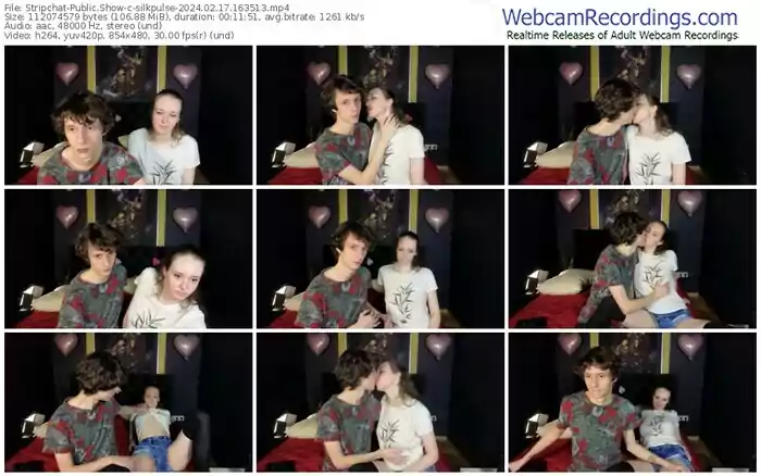 stripchat-silkpulse-02-17-2024-16-35-13