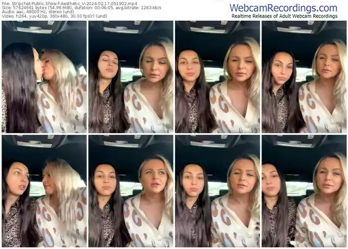 stripchat-aesthetic_v-02-17-2024-05-19-02