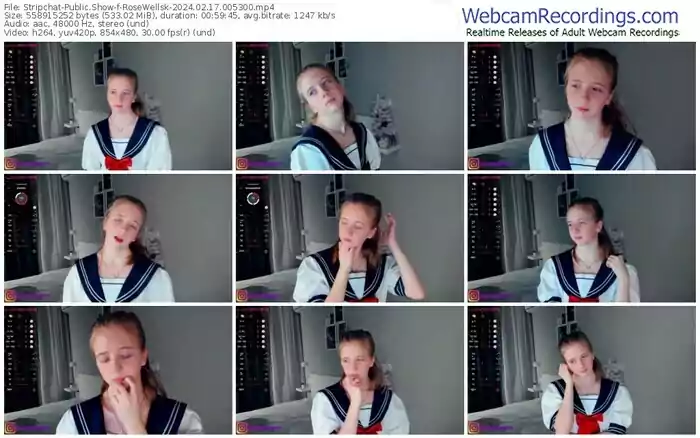 stripchat-rosewellsk-02-17-2024-00-53-00