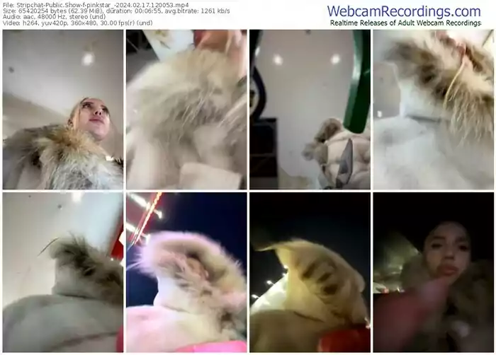 stripchat-pinkstar_-02-17-2024-12-00-53