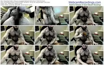 stripchat-hugealphabeast-02-17-2024-06-47-20
