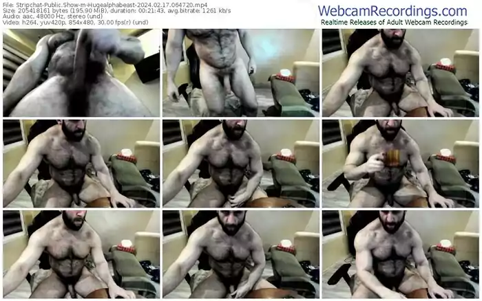 stripchat-hugealphabeast-02-17-2024-06-47-20