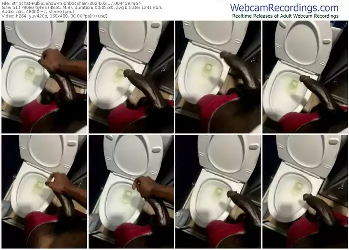 stripchat-phbbcsham-02-17-2024-00-44-59