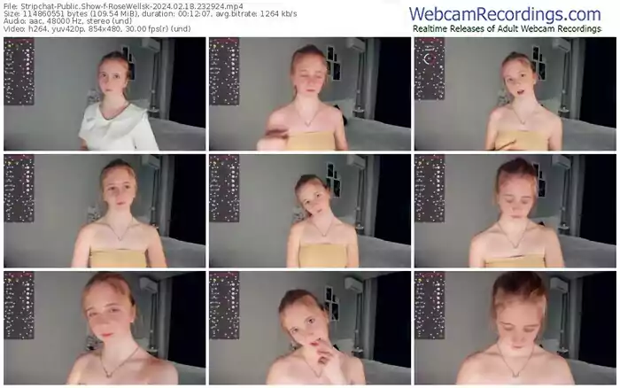 stripchat-rosewellsk-02-18-2024-23-29-24