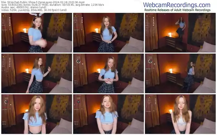 stripchat-zanalayes-02-18-2024-21-01-36