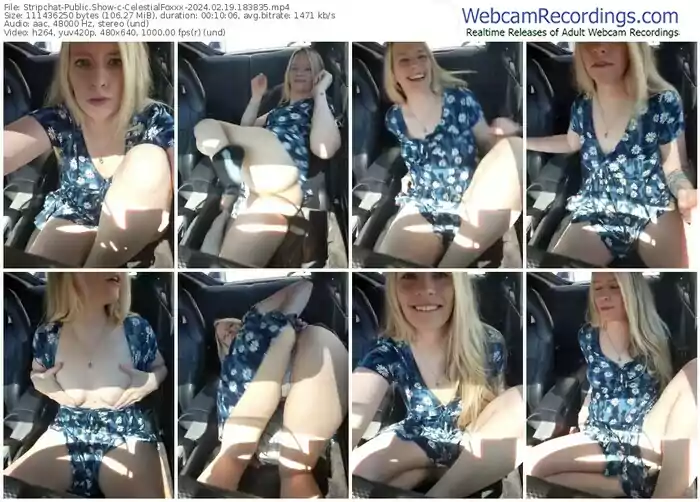 stripchat-celestialfoxxx-02-19-2024-18-38-35