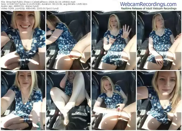 stripchat-celestialfoxxx-02-19-2024-18-58-02