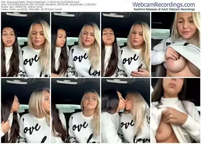 stripchat-aesthetic_v-02-19-2024-05-36-35