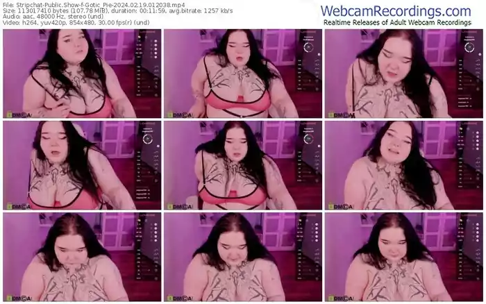 stripchat-gotic_pie-02-19-2024-01-20-38