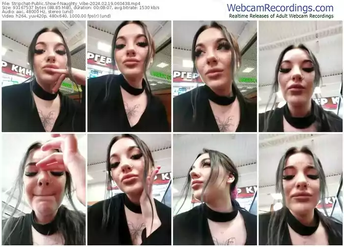 stripchat-naughty_vibe-02-19-2024-06-04-38