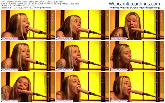 stripchat-shiny_lily-02-19-2024-23-29-14