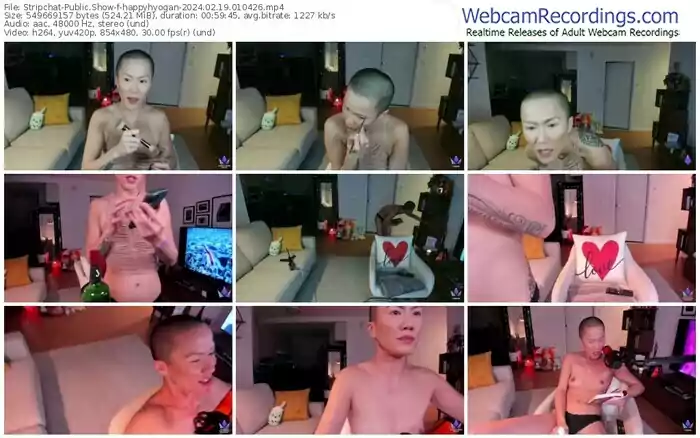 stripchat-happyhyogan-02-19-2024-01-04-26