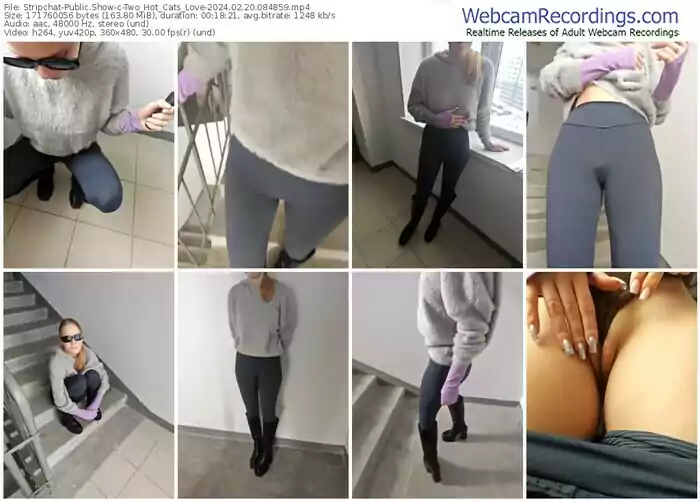 stripchat-two_hot_cats_love-02-20-2024-08-48-59