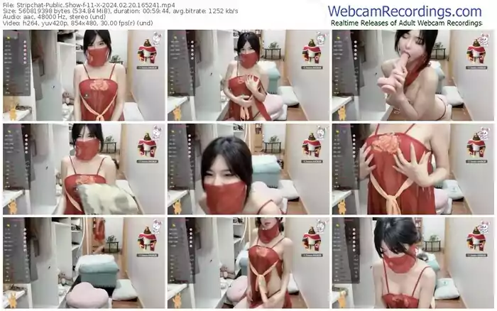 stripchat-11-x-02-20-2024-16-52-41