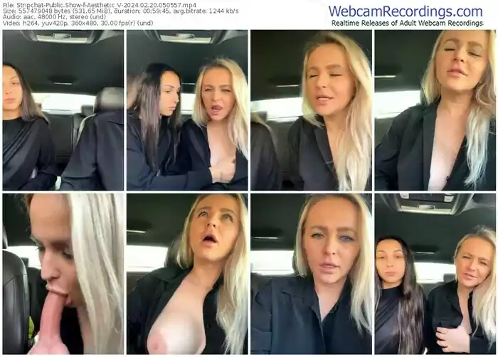 stripchat-aesthetic_v-02-20-2024-05-05-57