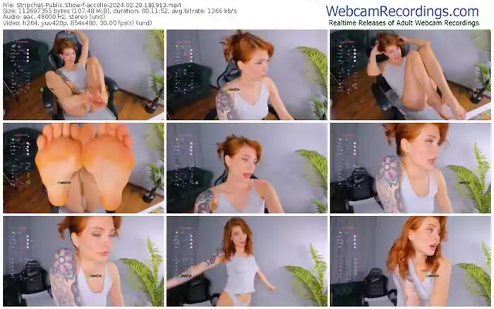 stripchat-accolle-02-20-2024-18-19-13