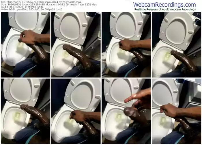 stripchat-phbbcsham-02-20-2024-23-42-05